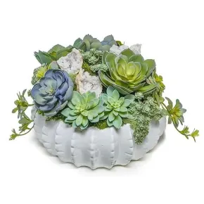 succulents with crystals Succulent & Crystal in Bowl – Extravagance Design & Home Furnishings