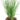 Bamboo and Succulent Plant in Black Bowl
