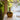 Green Port Bottle