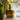 Green Port Bottle