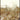 Gold Crystal Wall Art